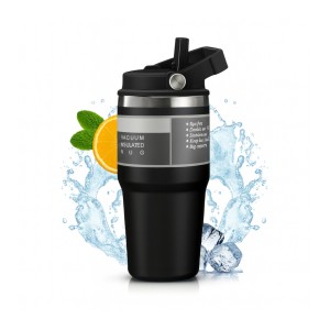VASO TERMICO ACERO C/PICO 600ml